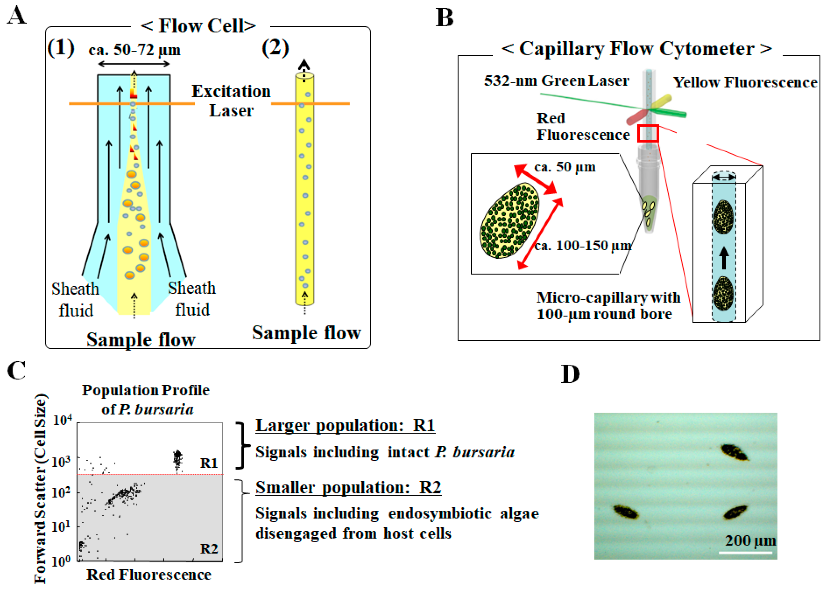 Energies 10 01413 g004 Energies 10 01413 g004