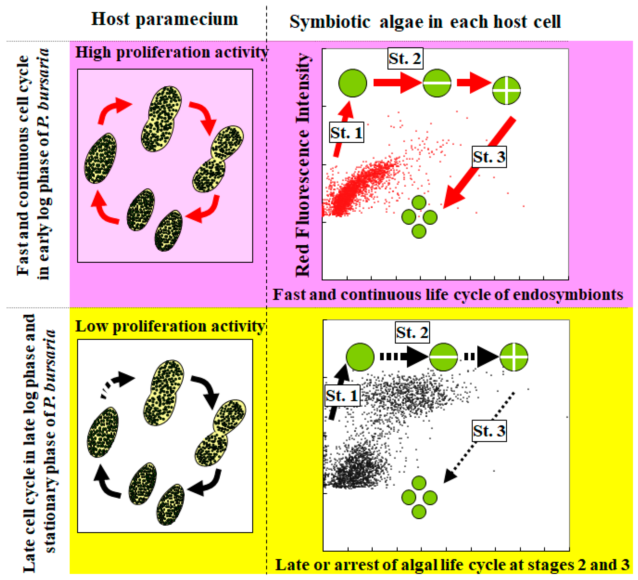 Energies 10 01413 g008 Energies 10 01413 g008