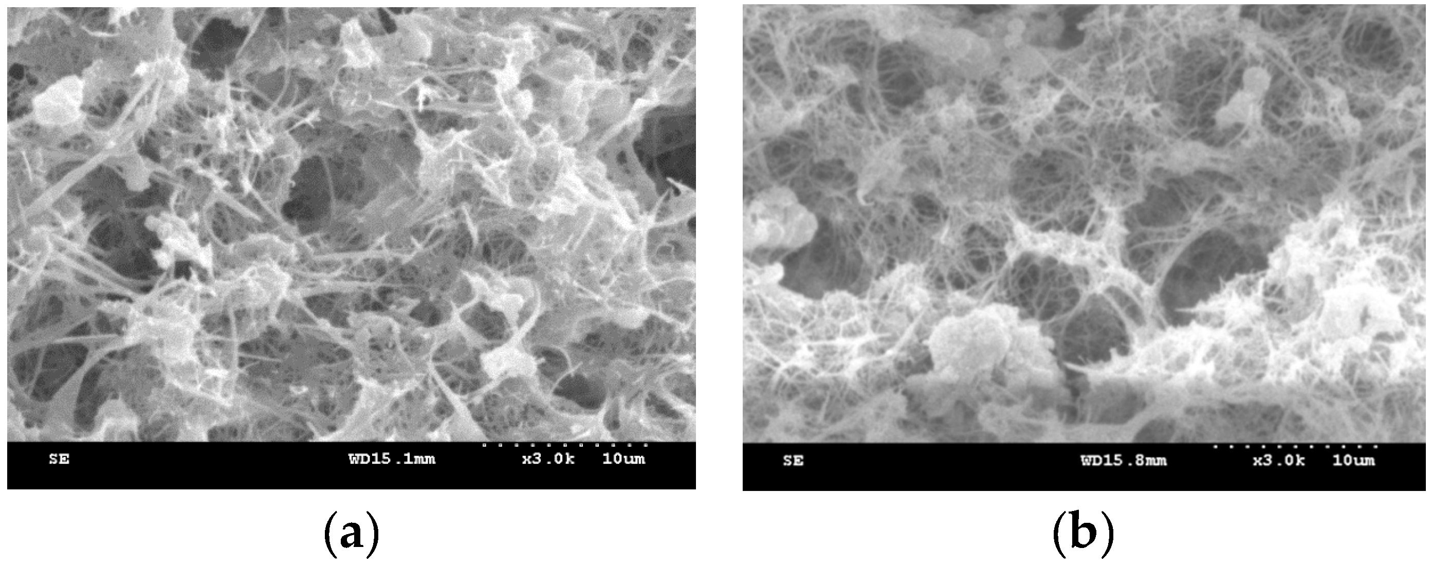 Energies 10 01592 g001