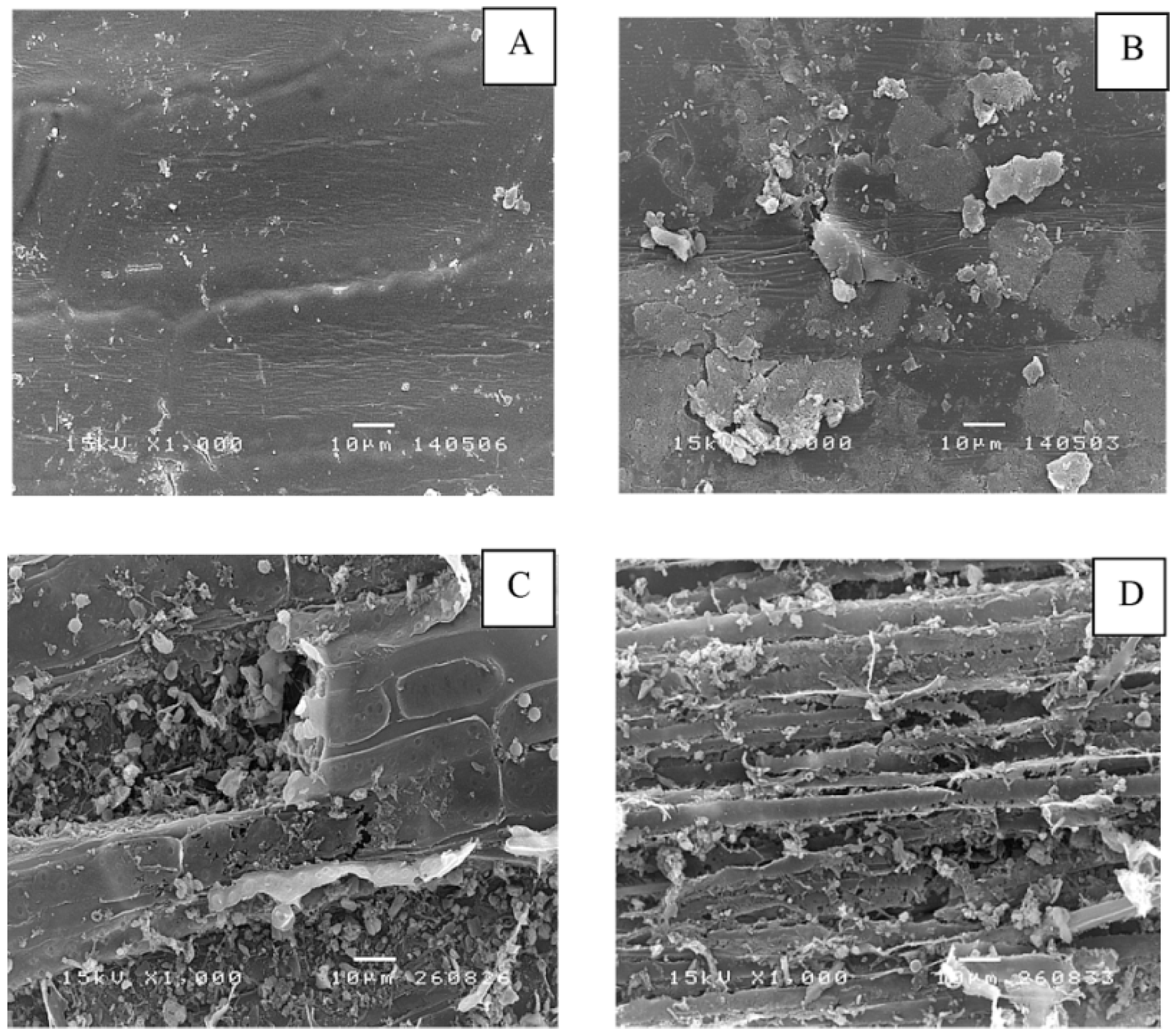 Energies Free Full Text Co Digestion Of Napier Grass And Its