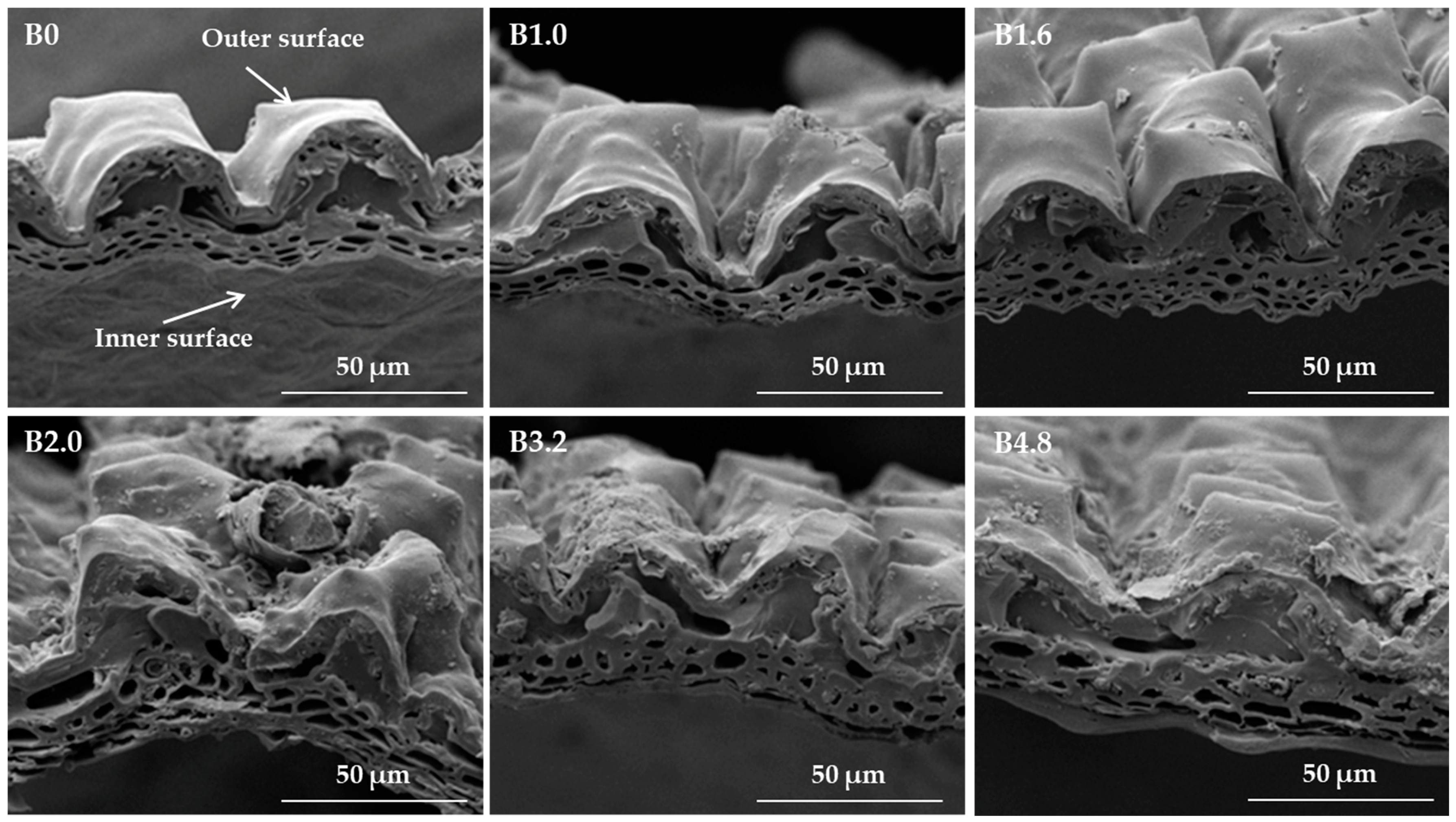 Energies 10 01814 g004