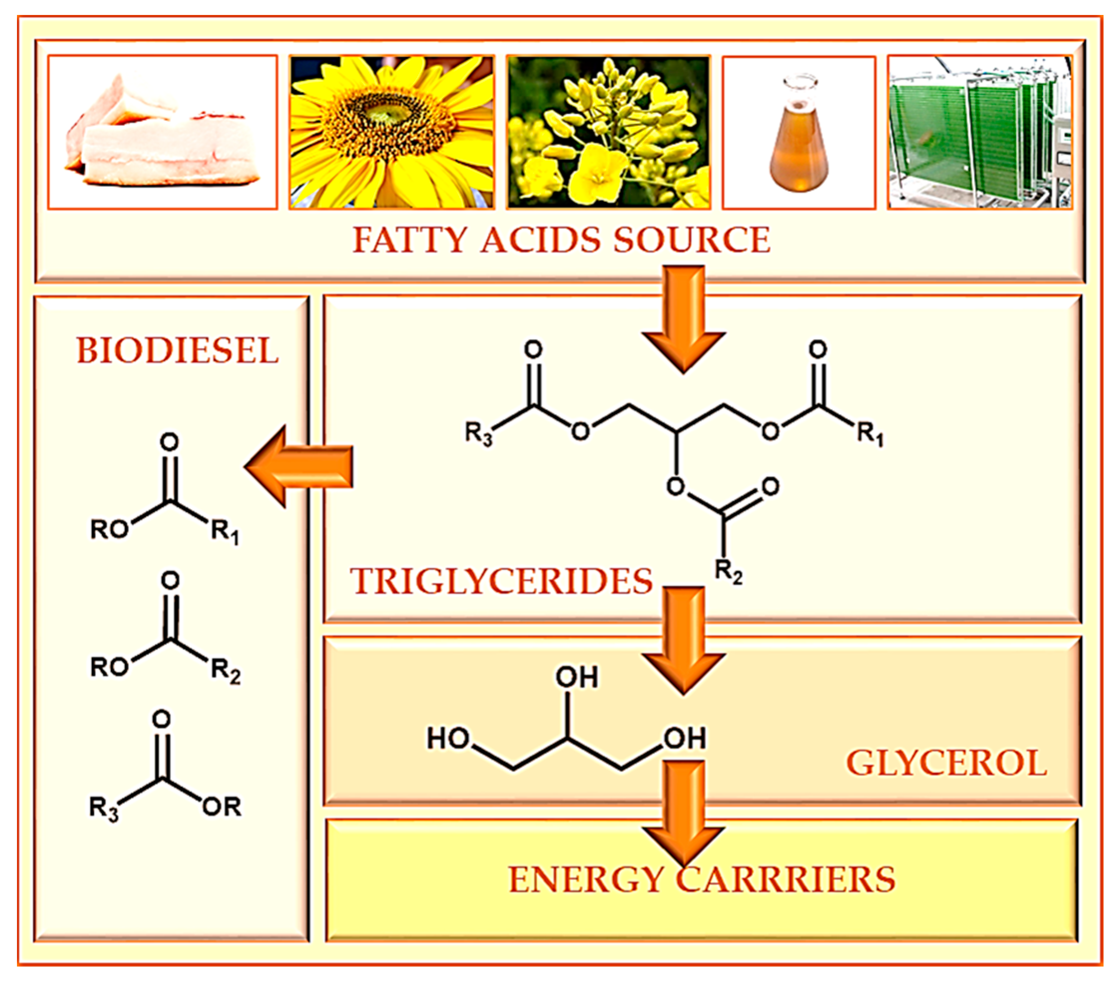 Raw glycerine, Fatty acids + Glycerine