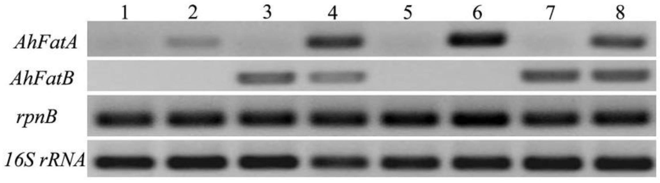 Energies 10 02093 g003