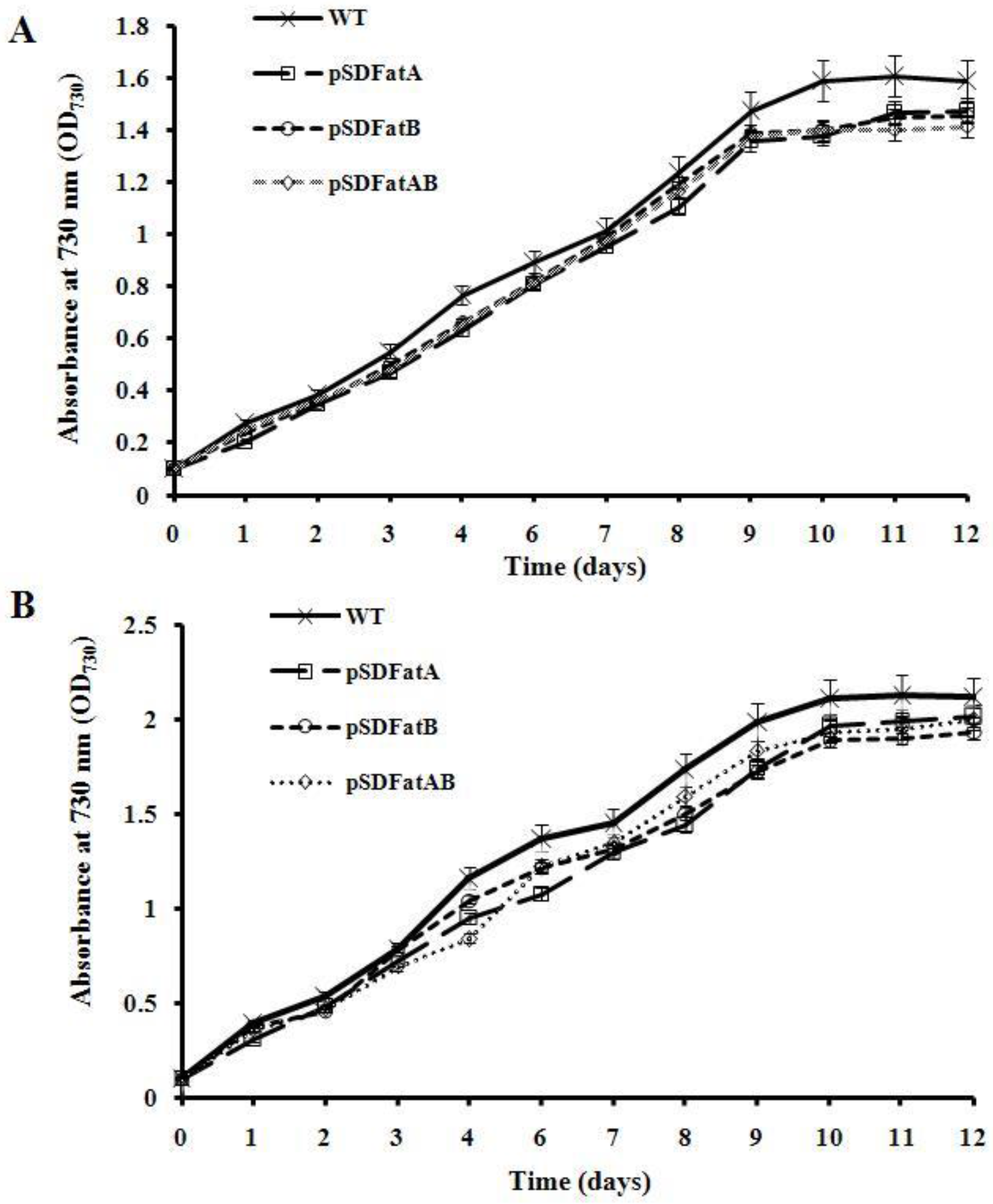 Energies 10 02093 g004