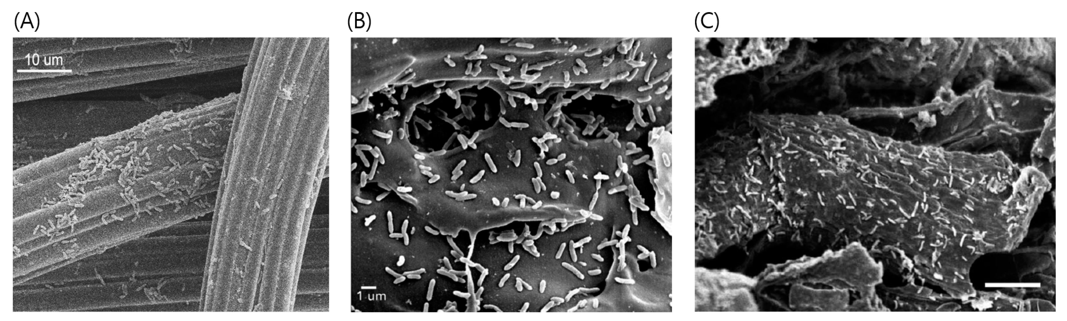 Energies 11 00107 g003 Energies 11 00107 g003