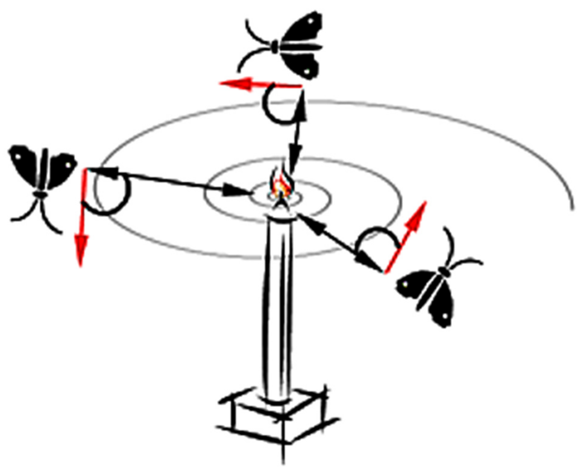 Energies 11 00245 g008