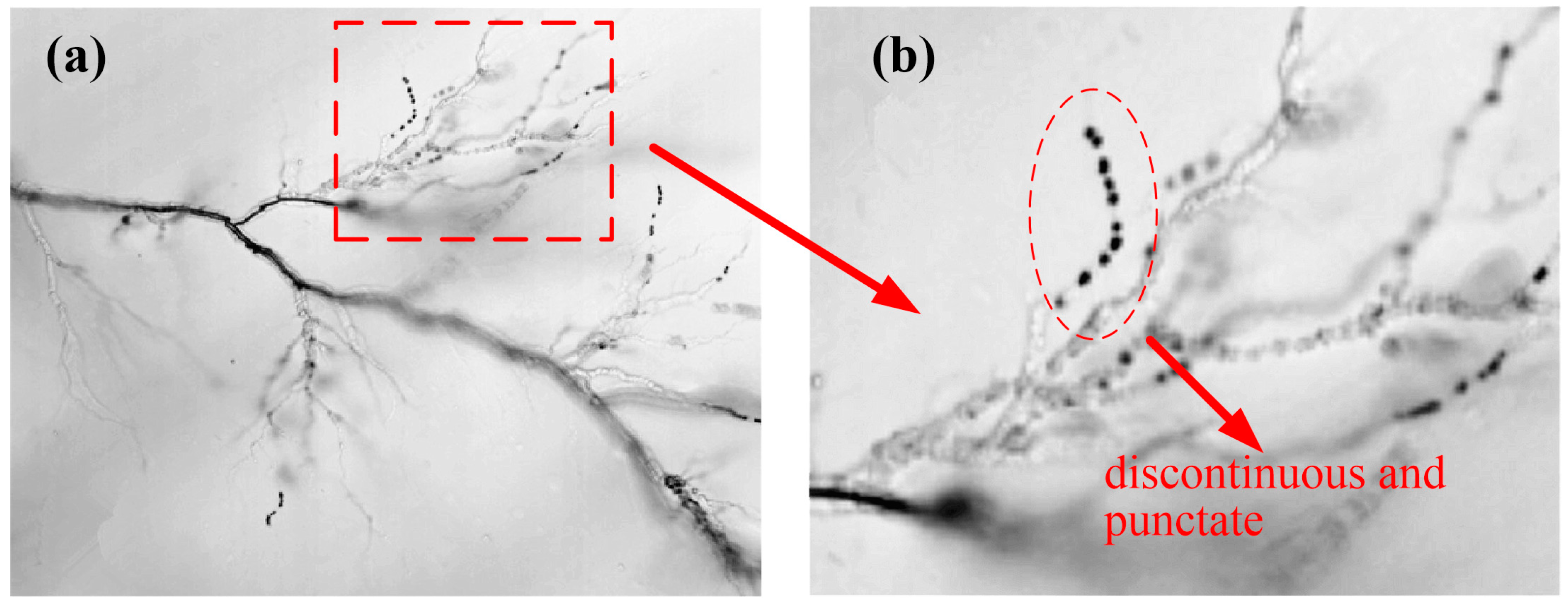 Energies 11 00327 g010