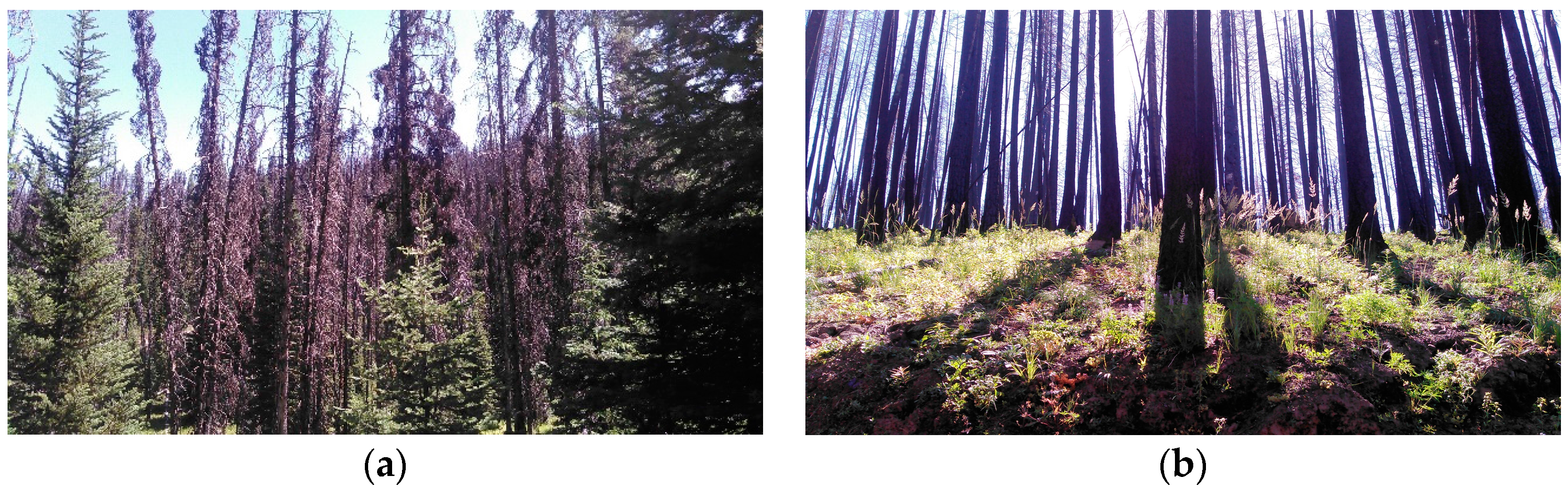 Energies 11 00648 g001 Energies 11 00648 g001