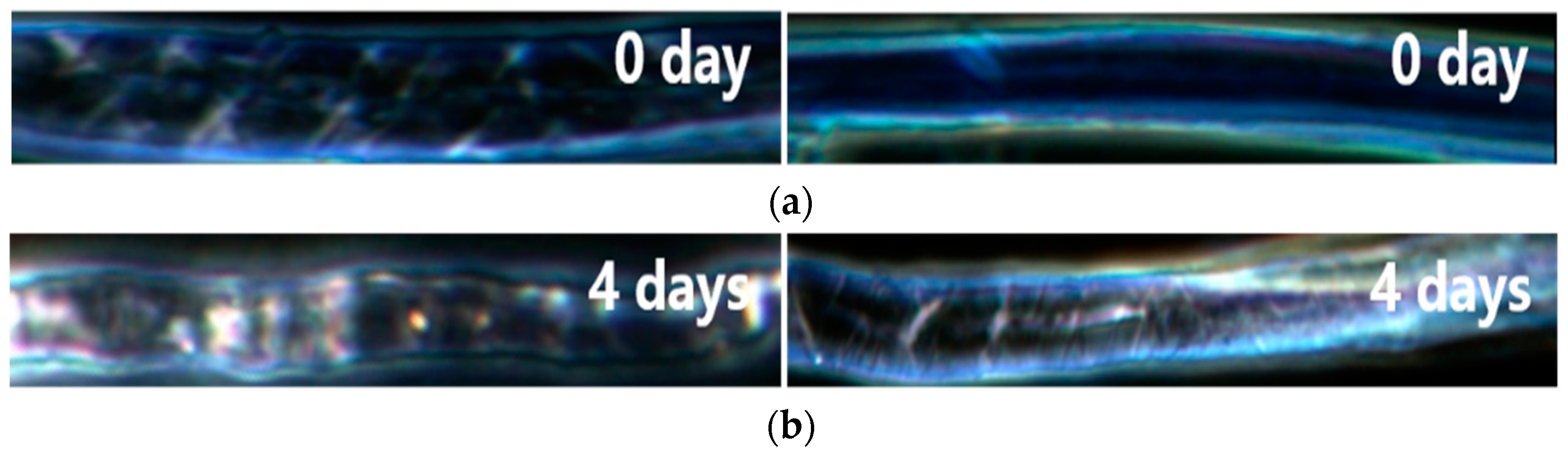 Energies 11 00716 g004a