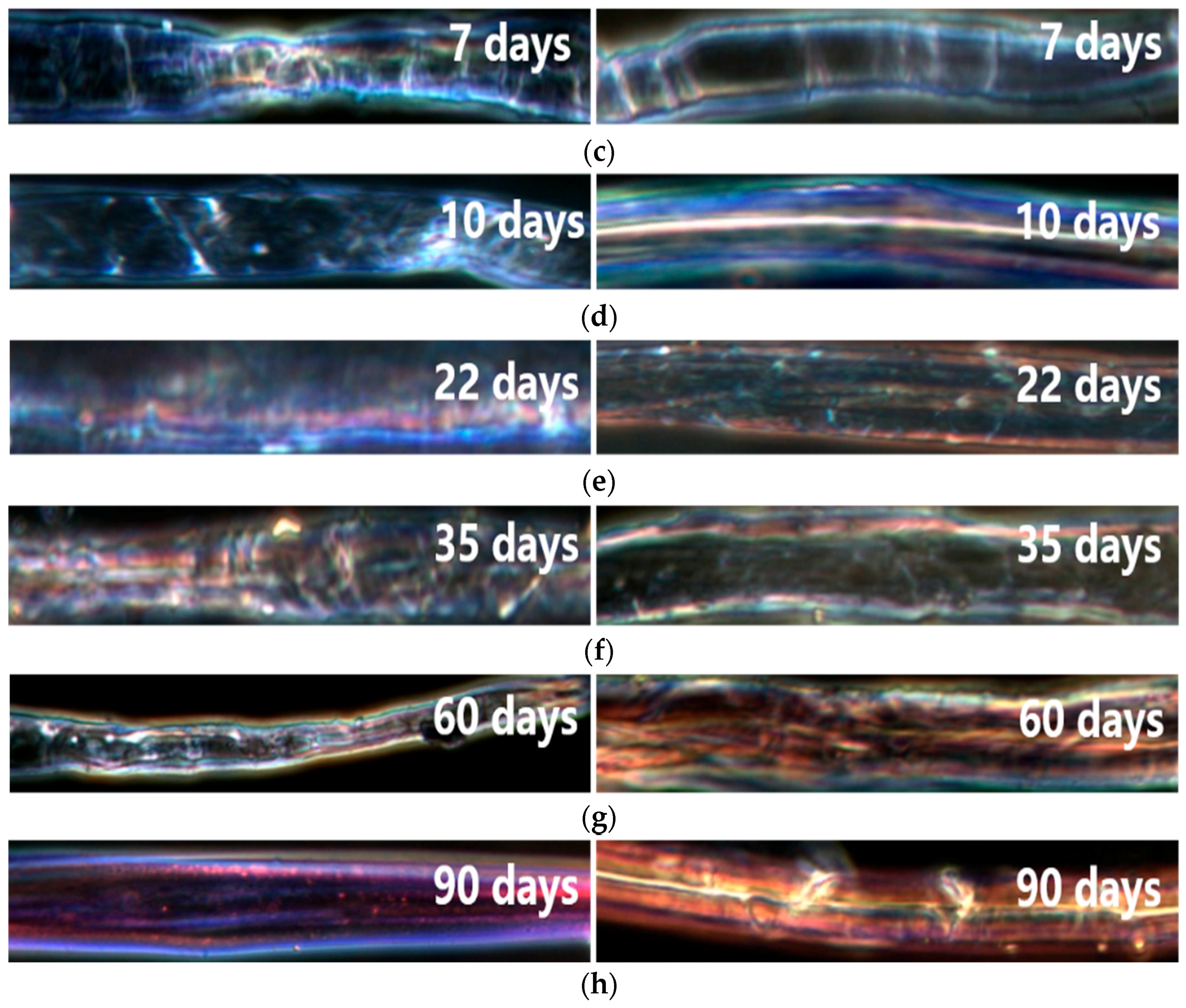 Energies 11 00716 g004b