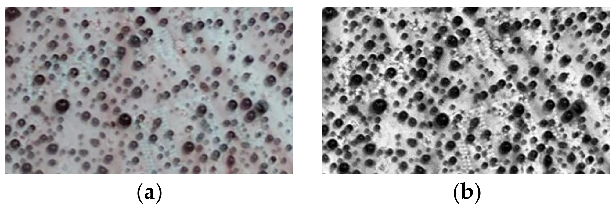 Energies 11 00765 g001 550