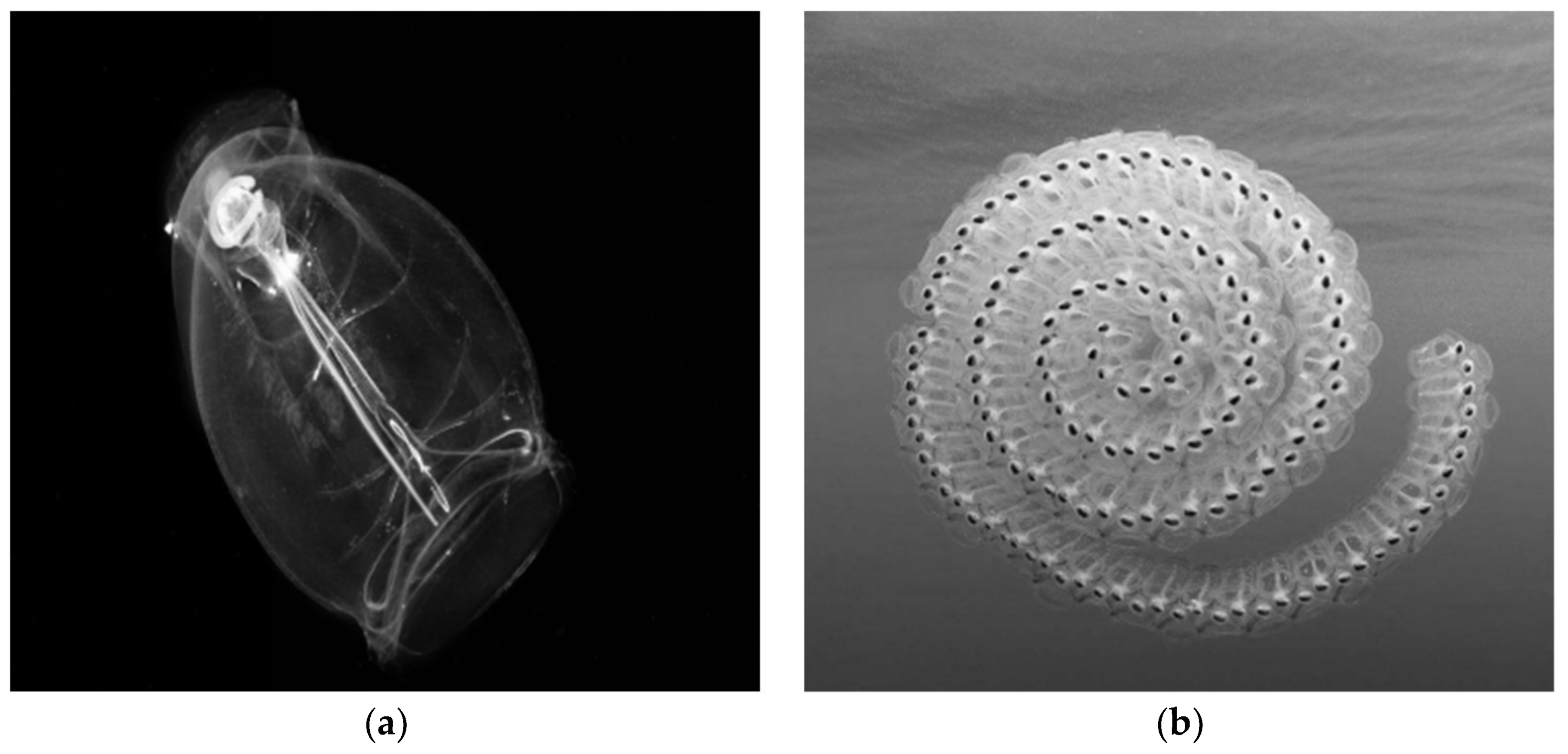 Energies 11 00781 g001