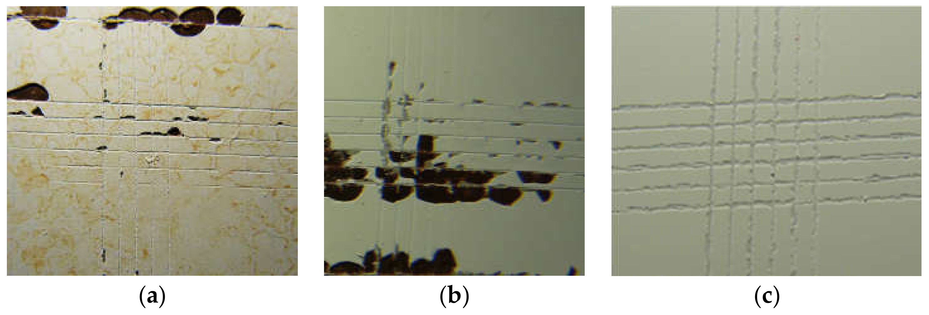 Energies 11 00808 g010