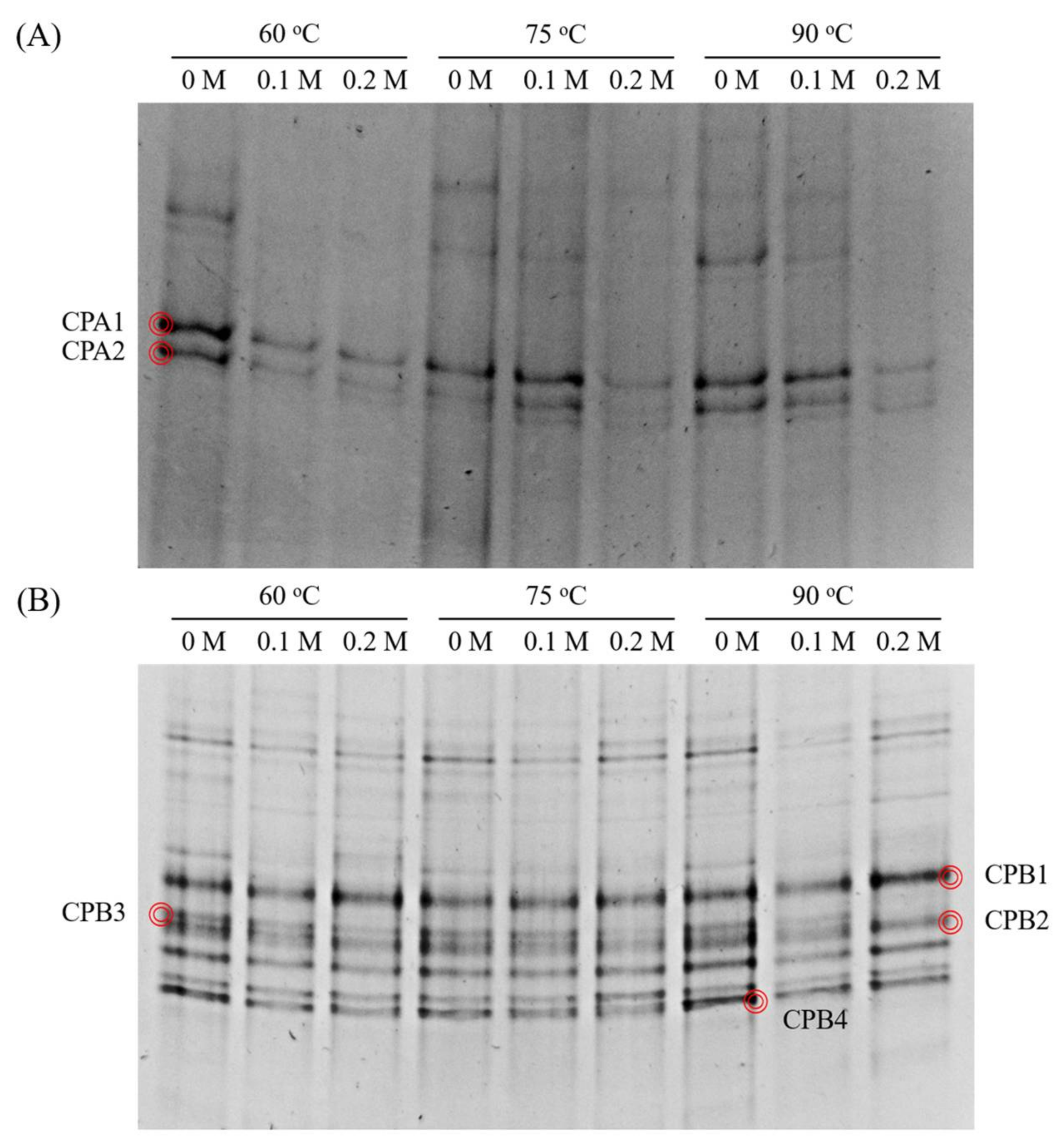 Energies 11 00865 g005