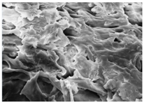 Energies 11 00886 i001