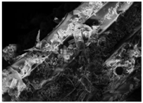 Energies 11 00886 i003