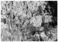 Energies 11 00886 i011