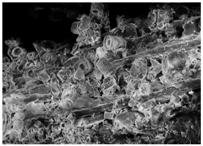 Energies 11 00886 i012