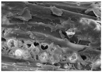 Energies 11 00886 i013