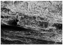 Energies 11 00886 i014