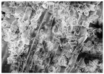 Energies 11 00886 i015