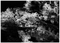 Energies 11 00886 i016