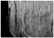 Energies 11 00886 i018