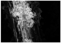 Energies 11 00886 i019