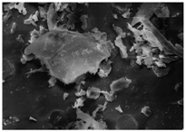 Energies 11 00886 i021