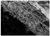 Energies 11 00886 i023