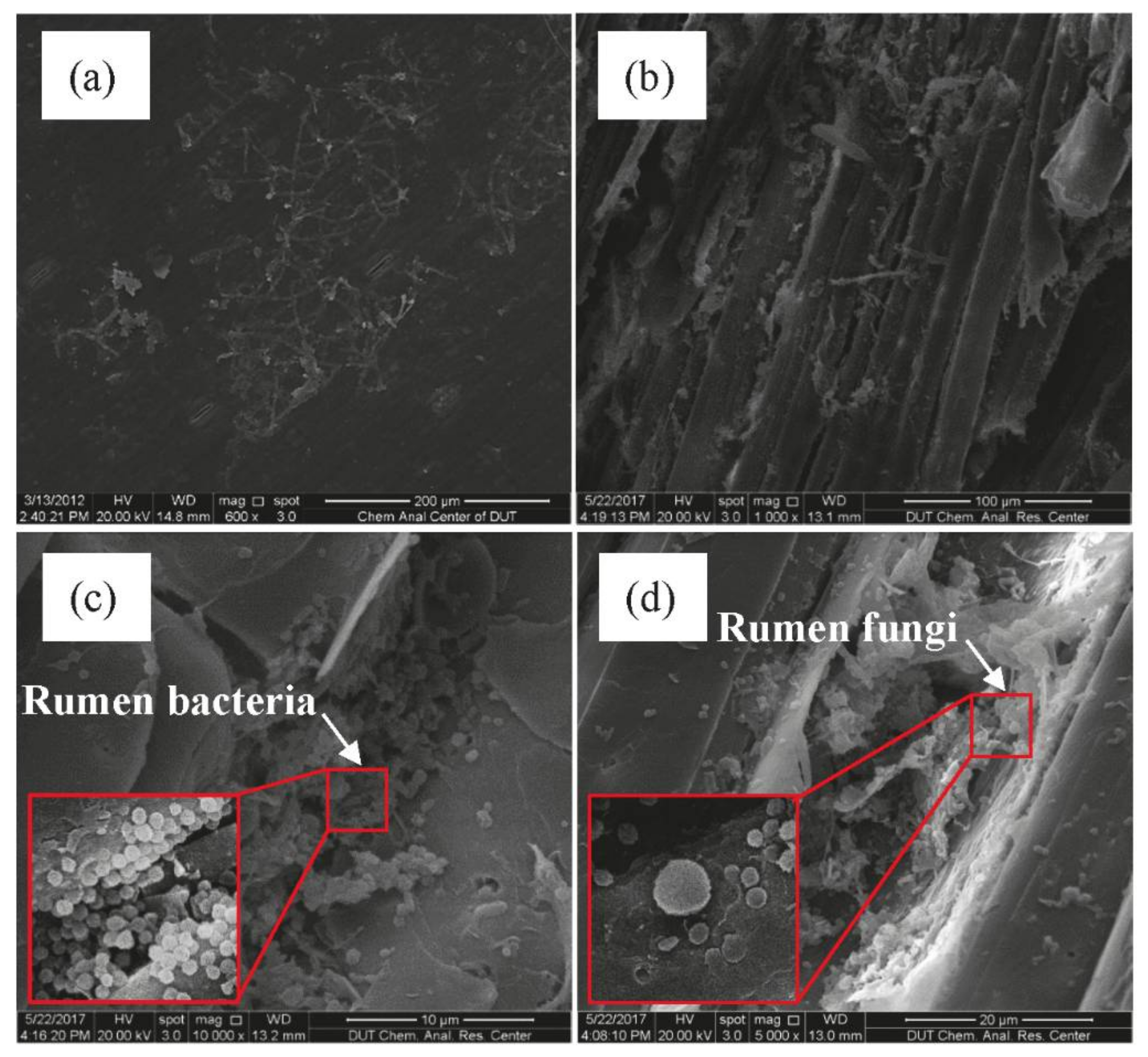 Energies 11 00920 g006 Energies 11 00920 g006