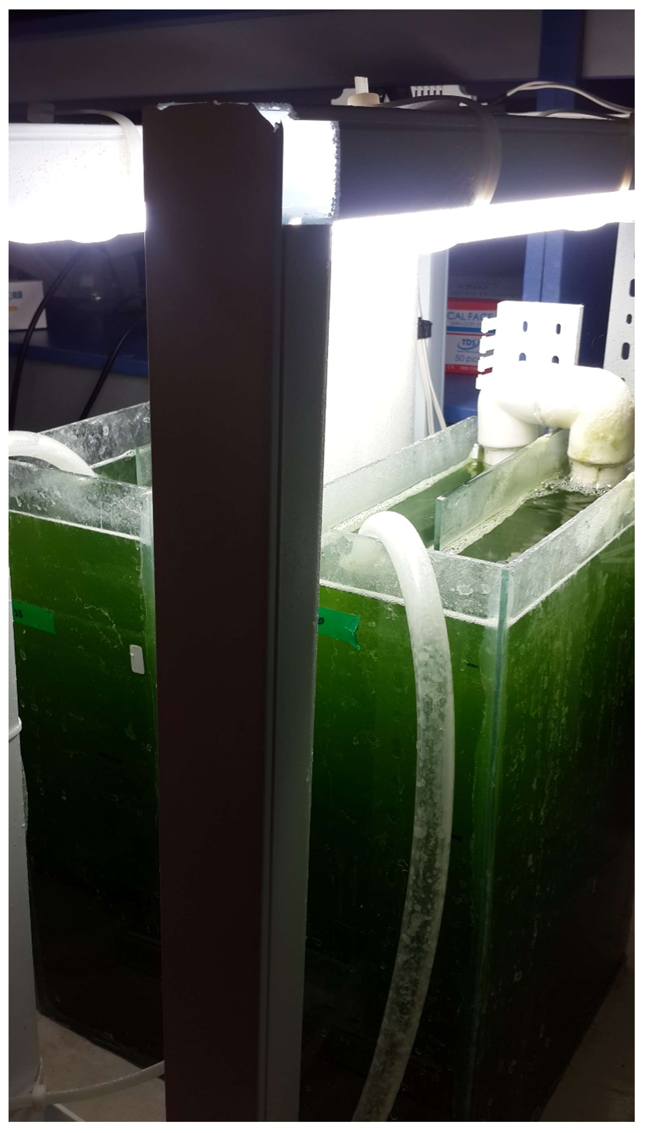 Energies 11 00950 g005 Energies 11 00950 g005