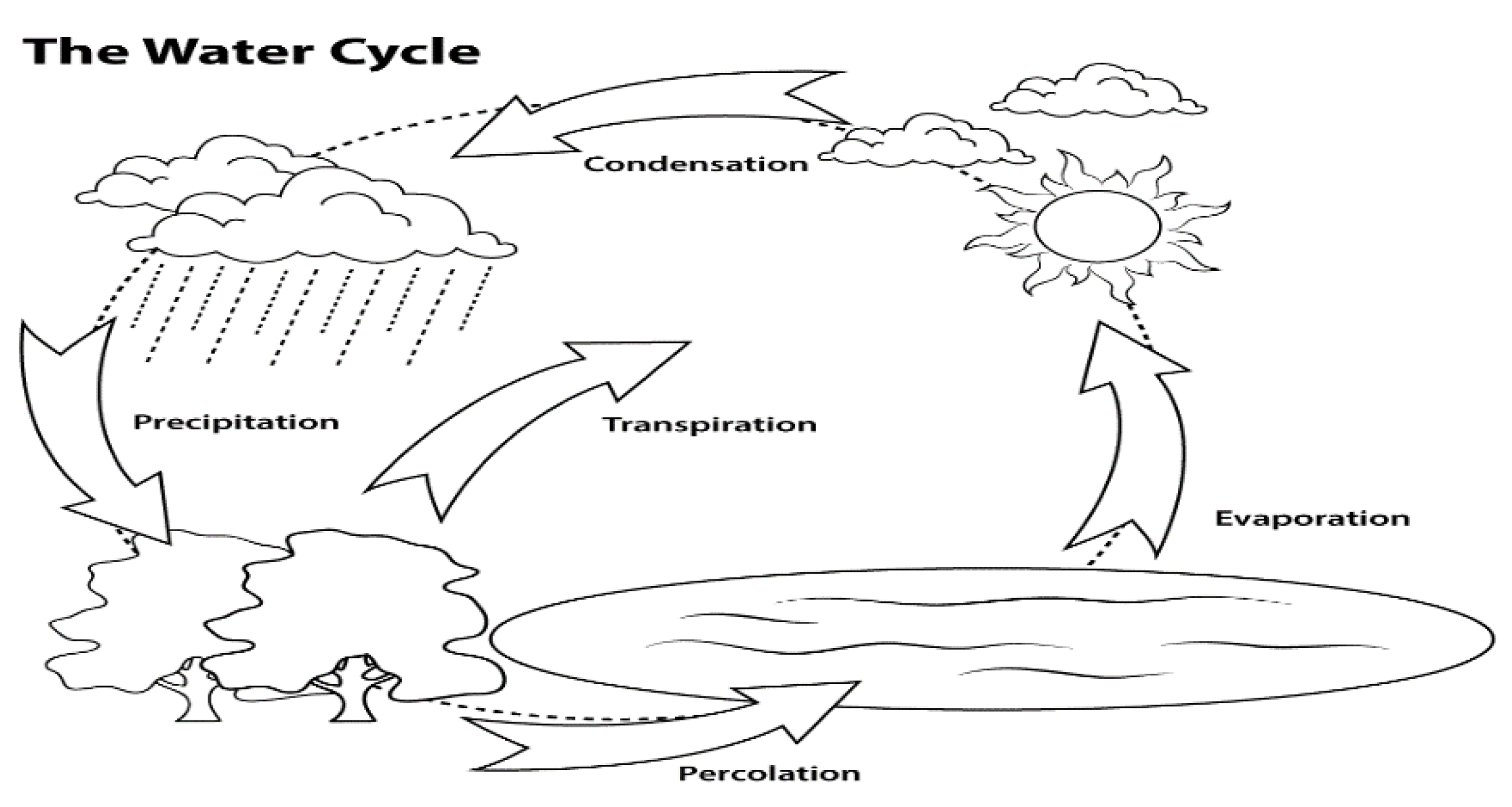 Water Cycle Diagram. Vector. Digital asset. :: Behance