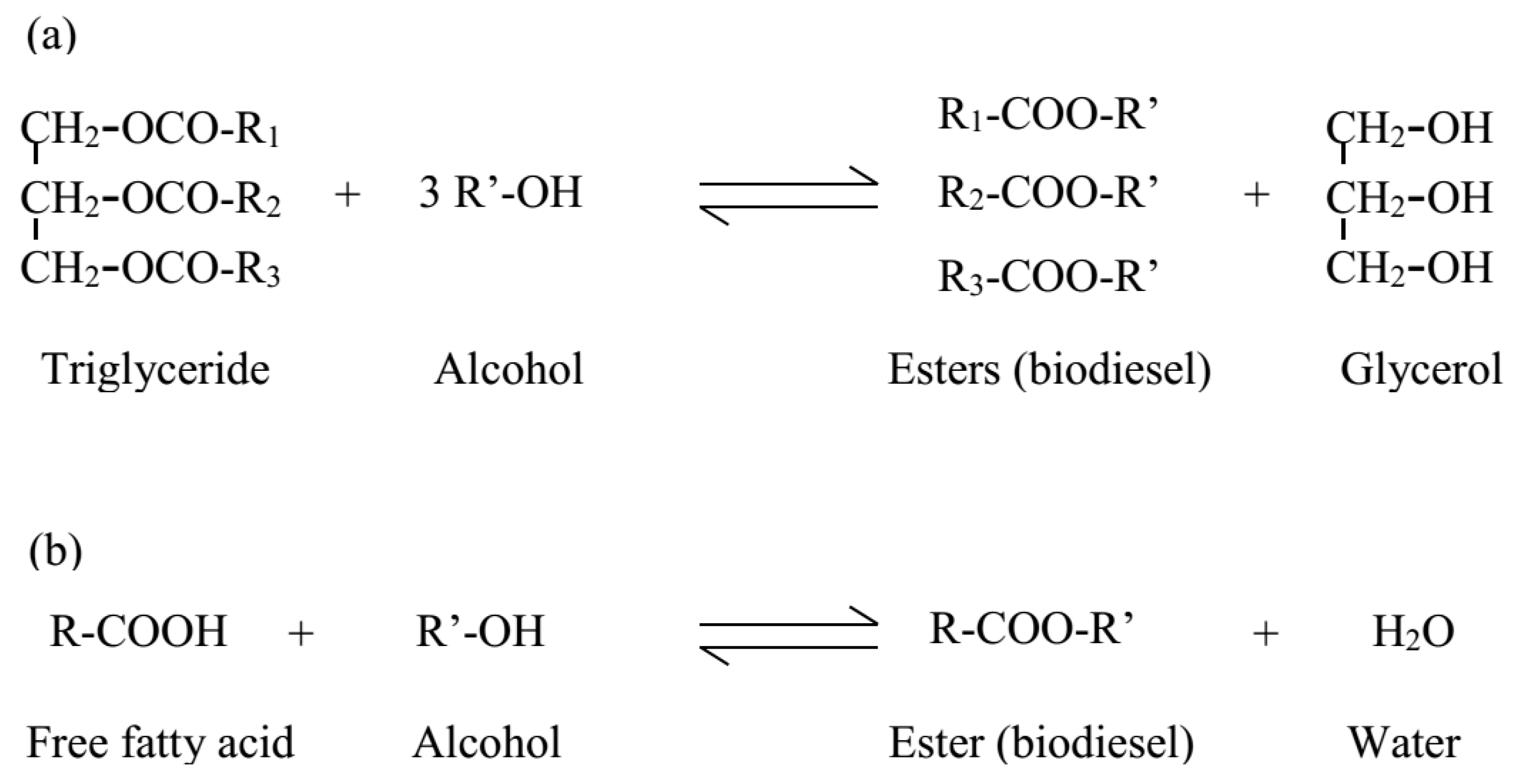 trglycérides et hydrogénation des triglycérides