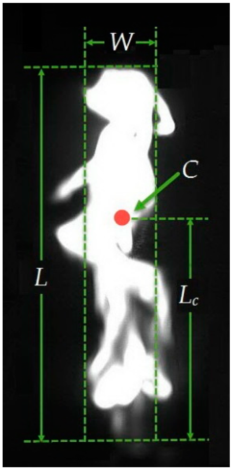 Energies 11 01916 g004