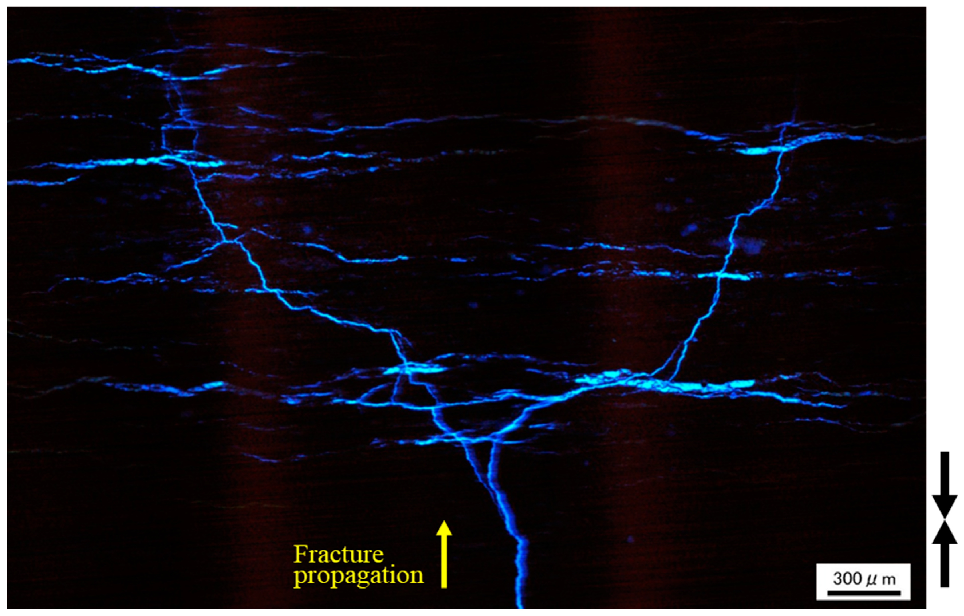 Energies 11 01976 g009