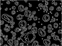 Energies 11 02459 i003