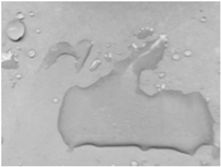 Energies 11 02459 i013