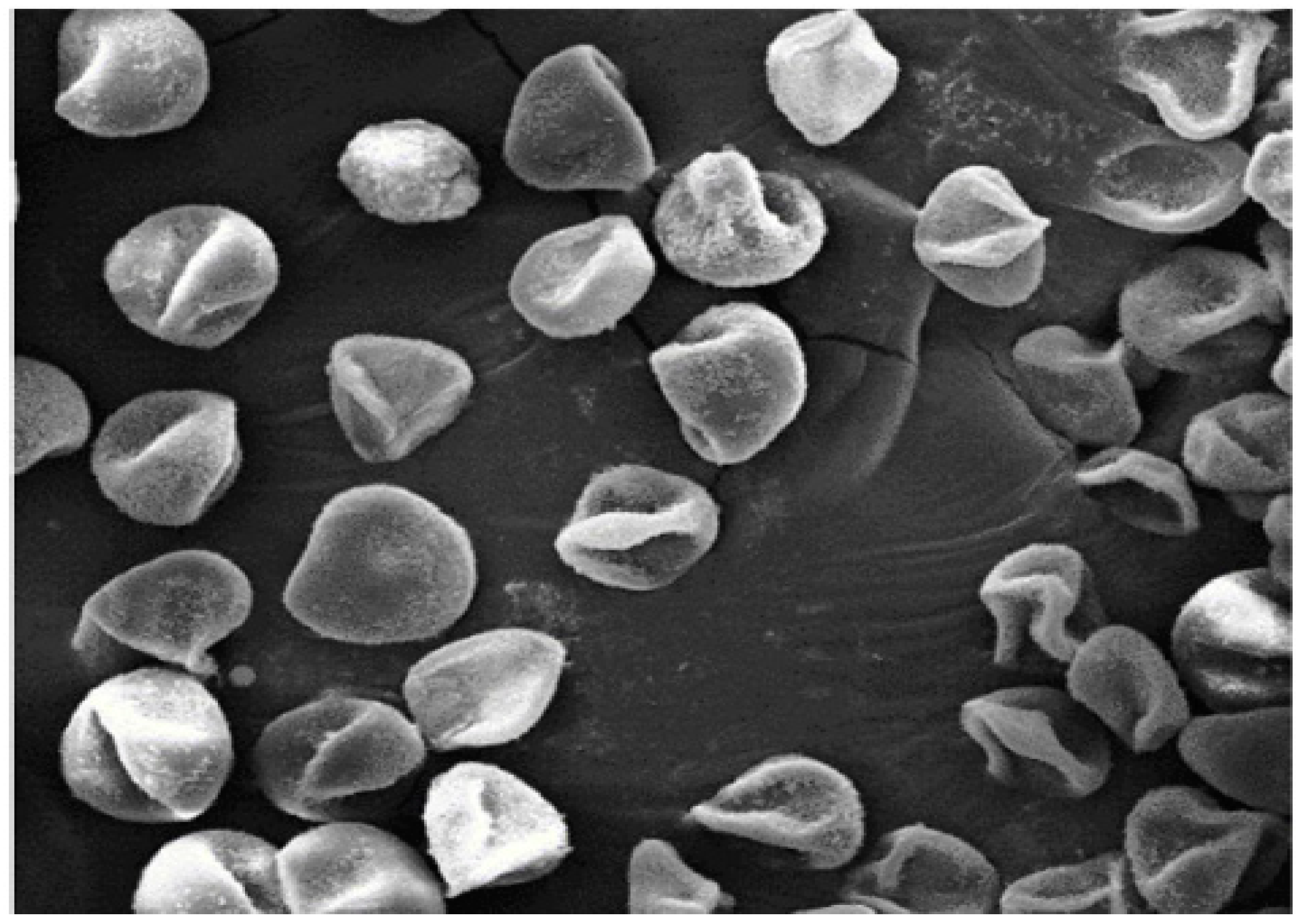 Energies 11 02945 g001