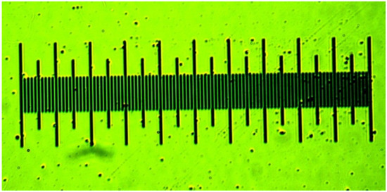 shellshock live ruler download shellshock live ruler download