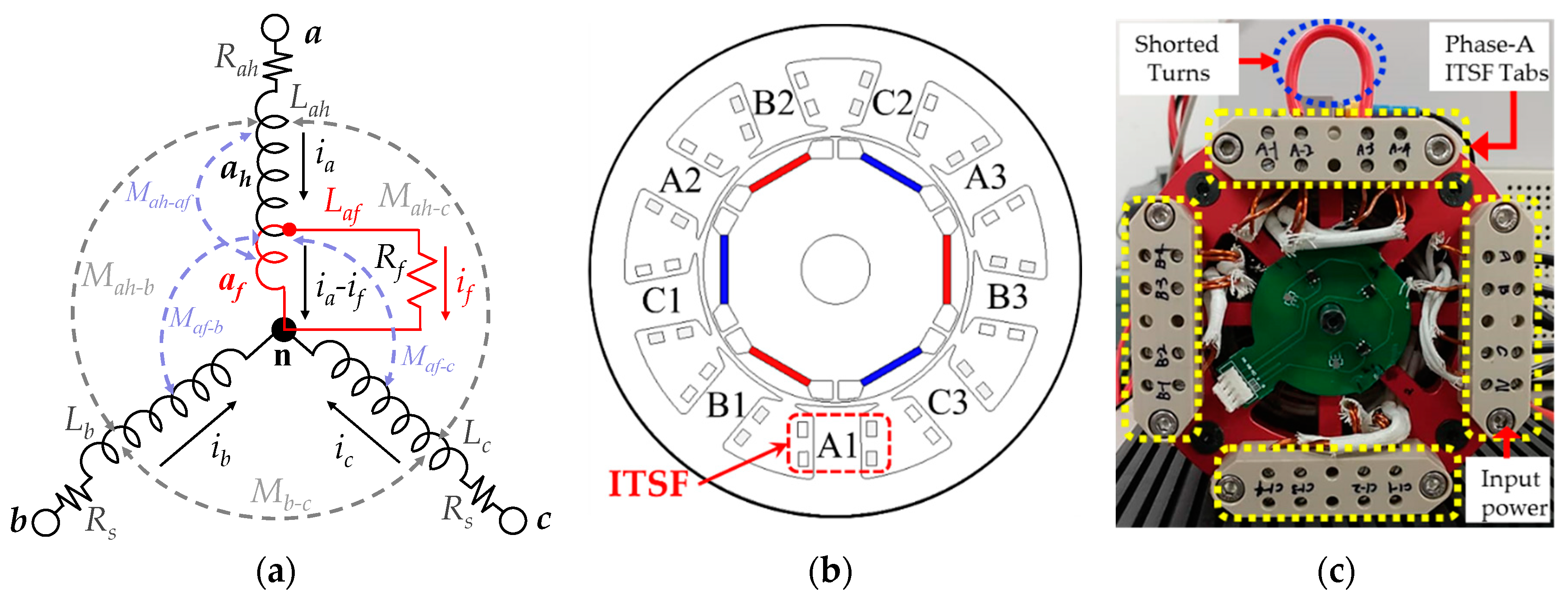 Tooth Stator Wiring Diagram Get Free Image About Wiring Diagram
