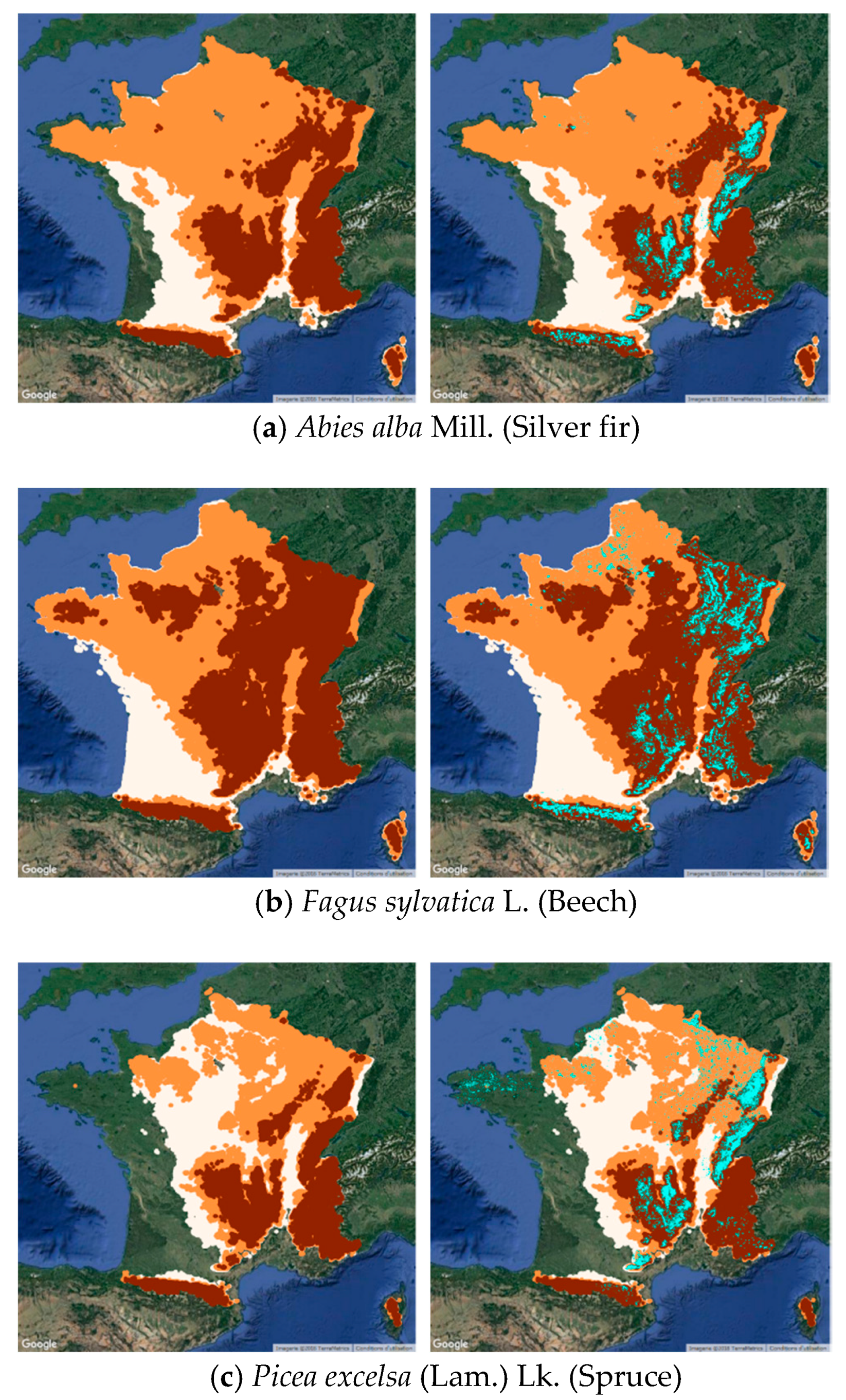 Energies 11 03372 g002a Energies 11 03372 g002a