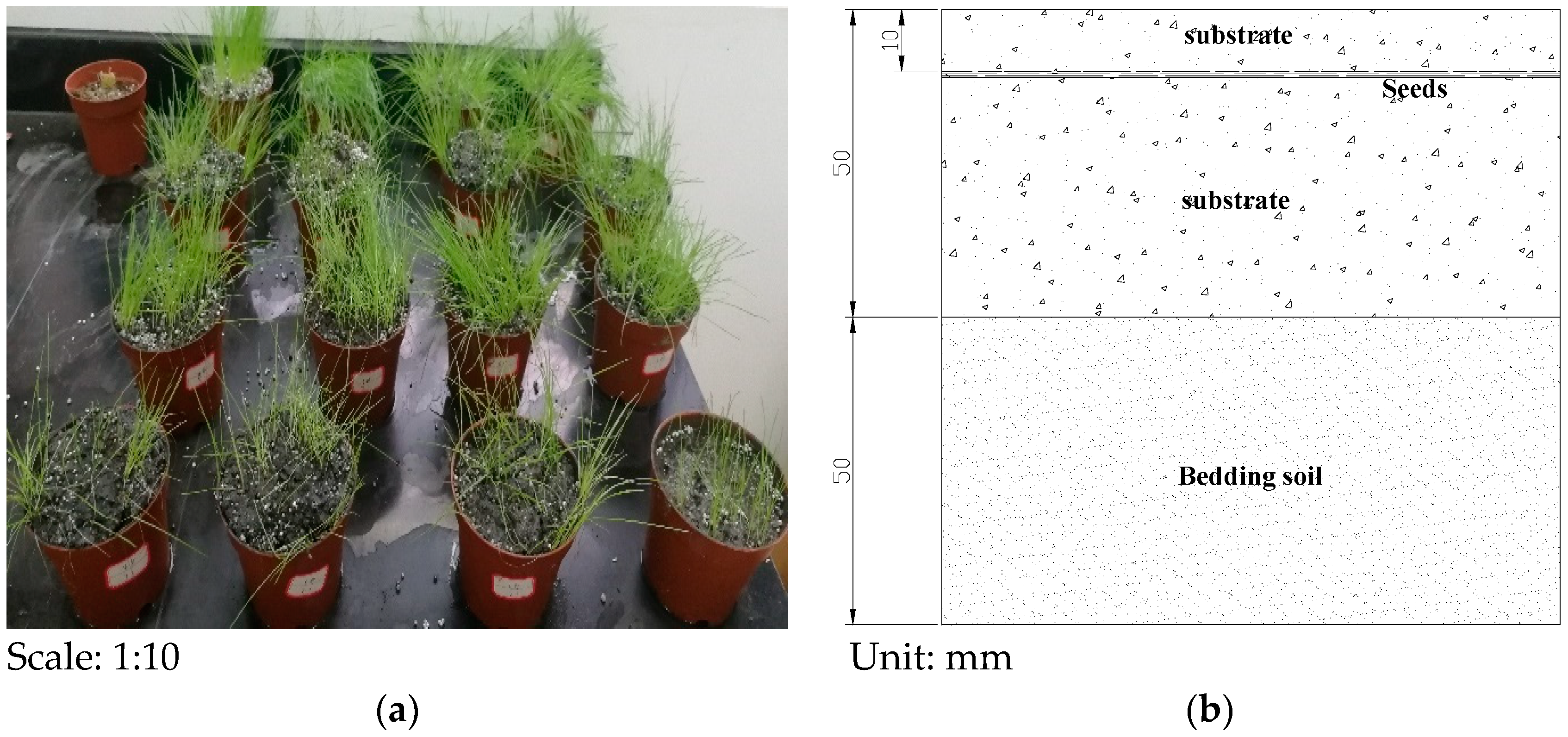 Energies 11 03431 g001