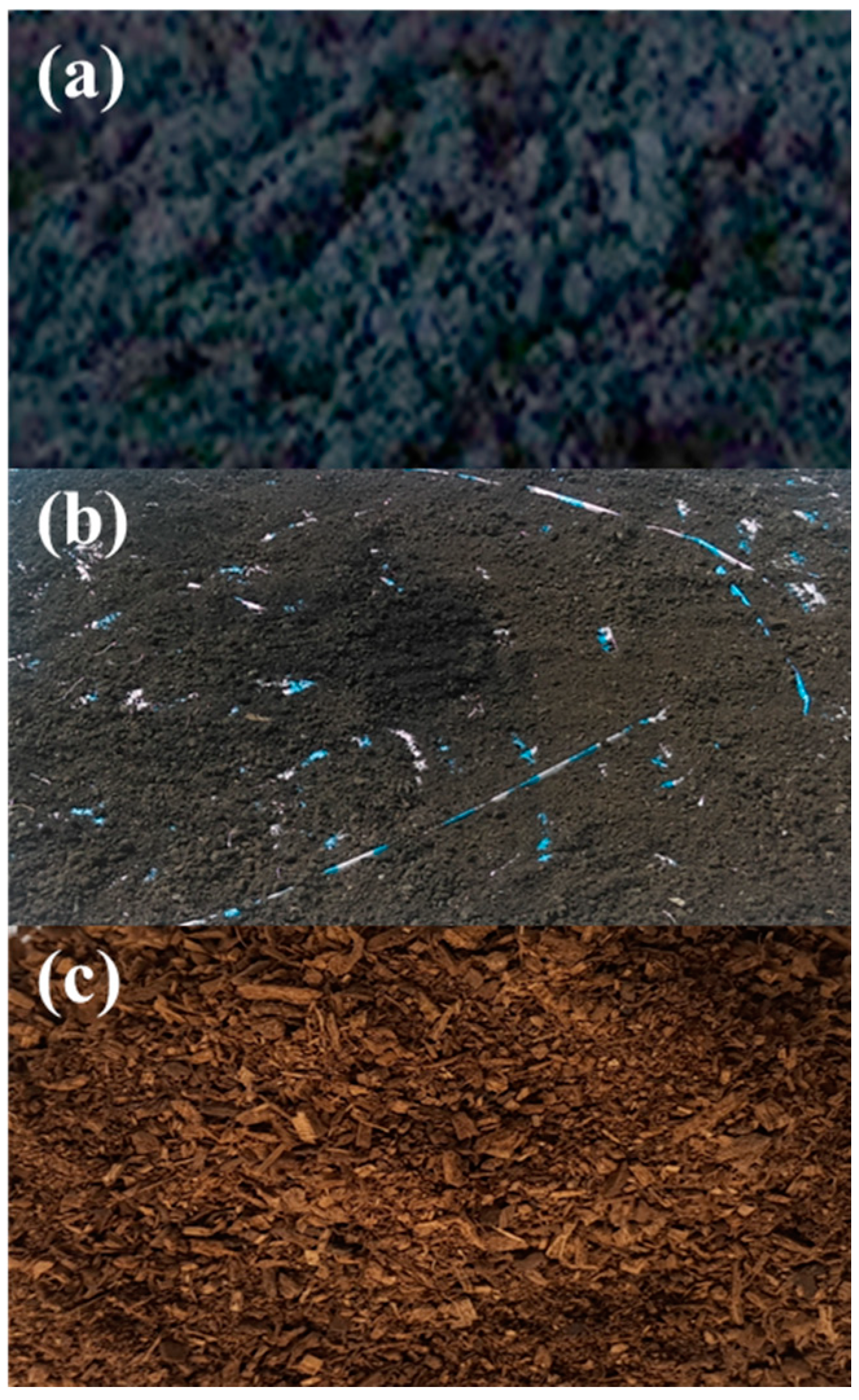 Energies 11 03436 g001
