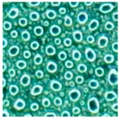 Energies 11 03483 i005