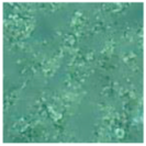 Energies 11 03483 i014