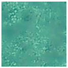 Energies 11 03483 i015