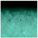 Energies 11 03483 i030