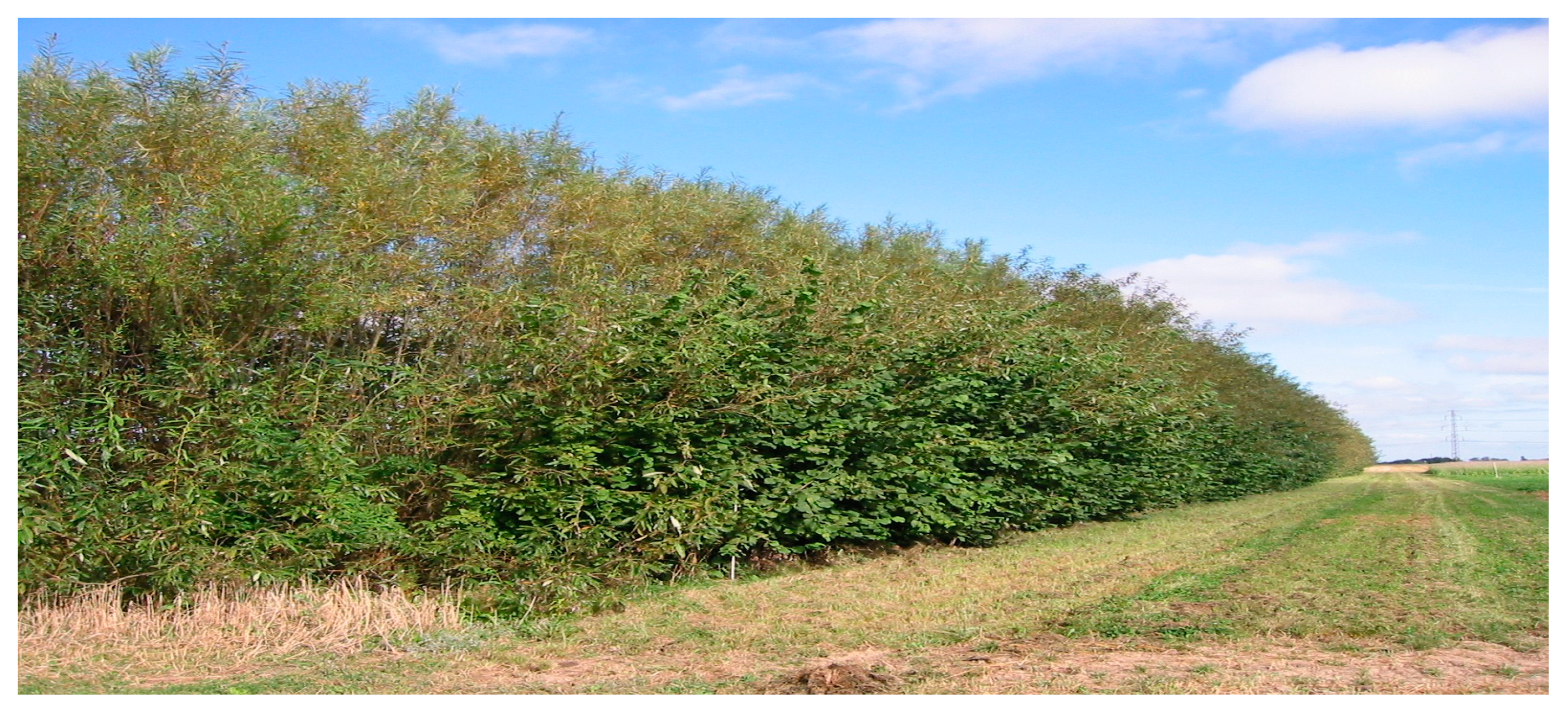 Energies 12 00166 g002