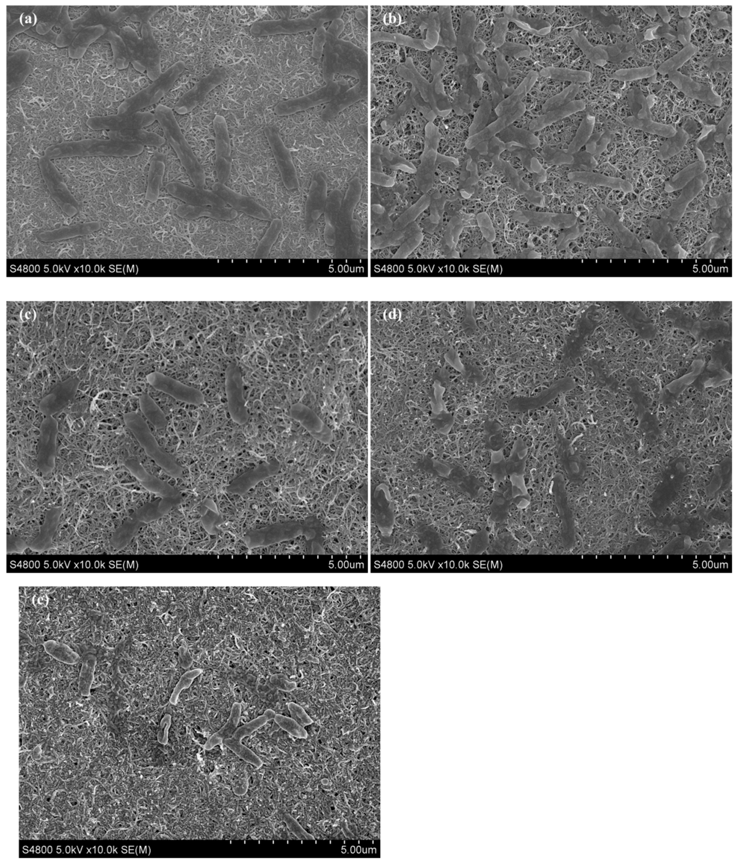 Energies 12 00363 g006